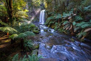 Best Waterfalls in Byron Bay