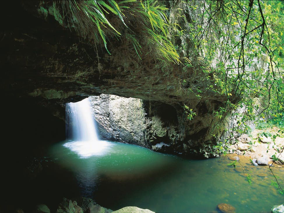 Natural Bridge Waterfall Near Byron Bay
